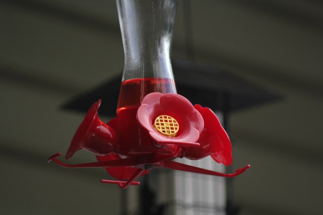 woulda been right here