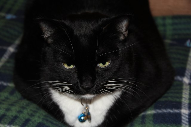 Why can't I go outside?