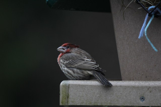 Good looking little guy