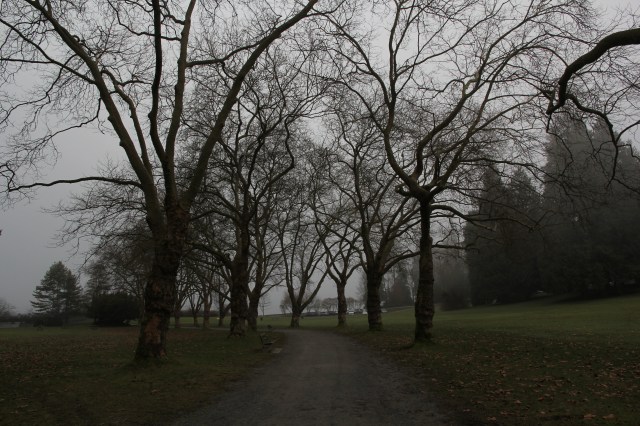 Stanley Park