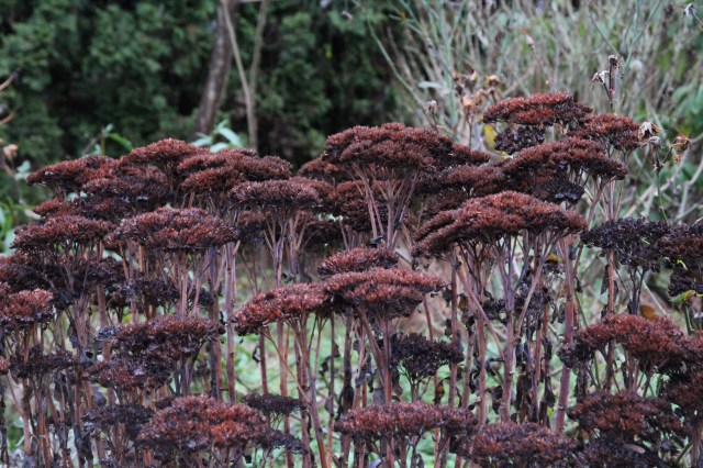 I think these will too