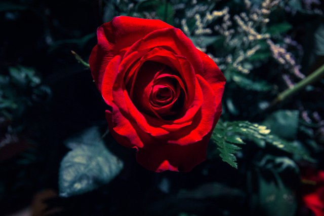 futzed with using post production software