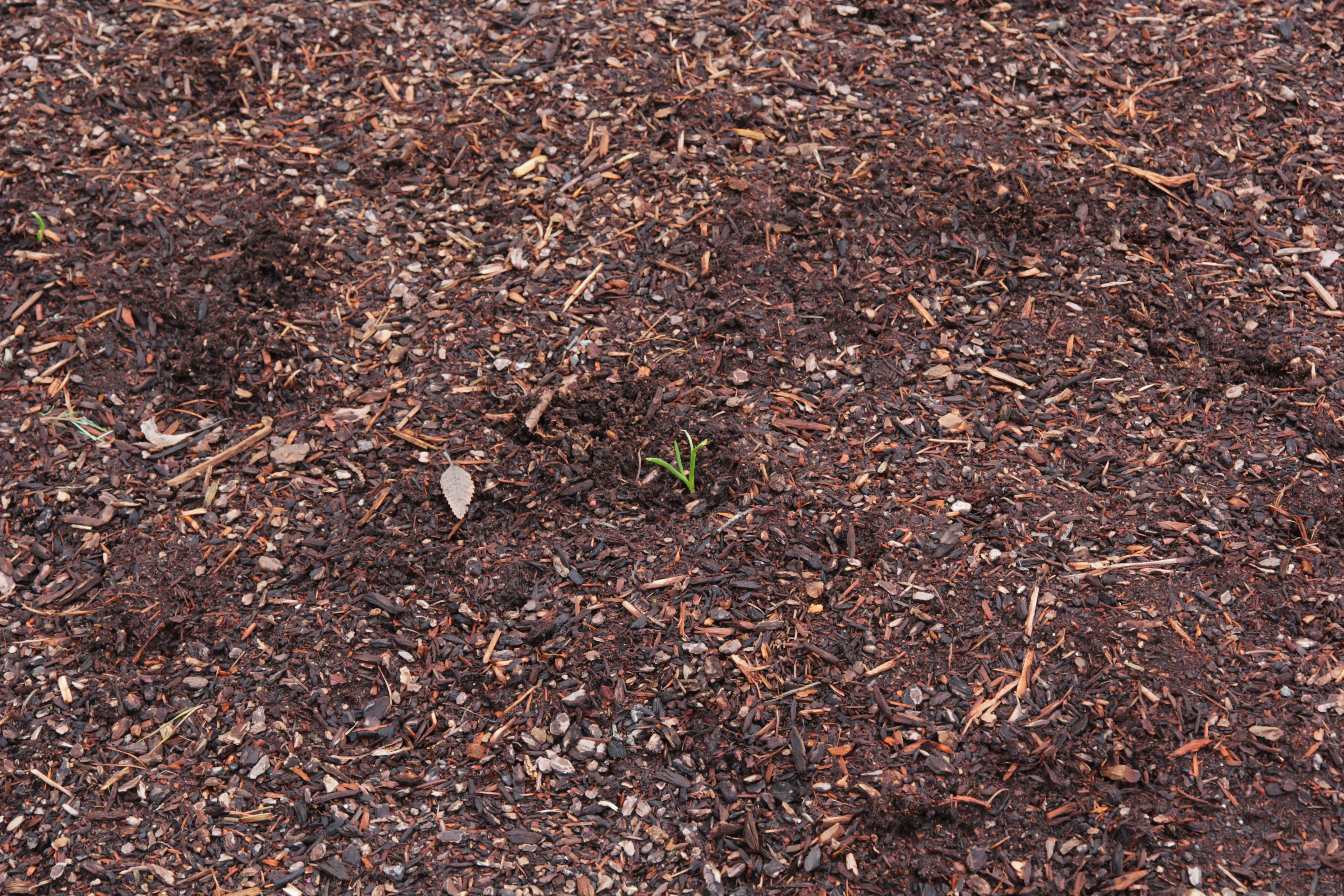 I'm gonna be big one day