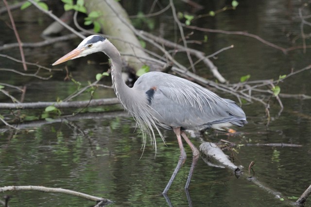 Don't bother me, I'm fishing for me supper