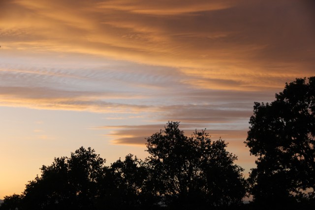 Sunset in Cottonwood2