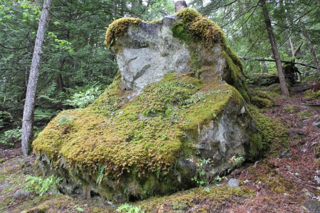 Mossy Rock