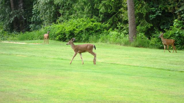 ???????????????????????????????