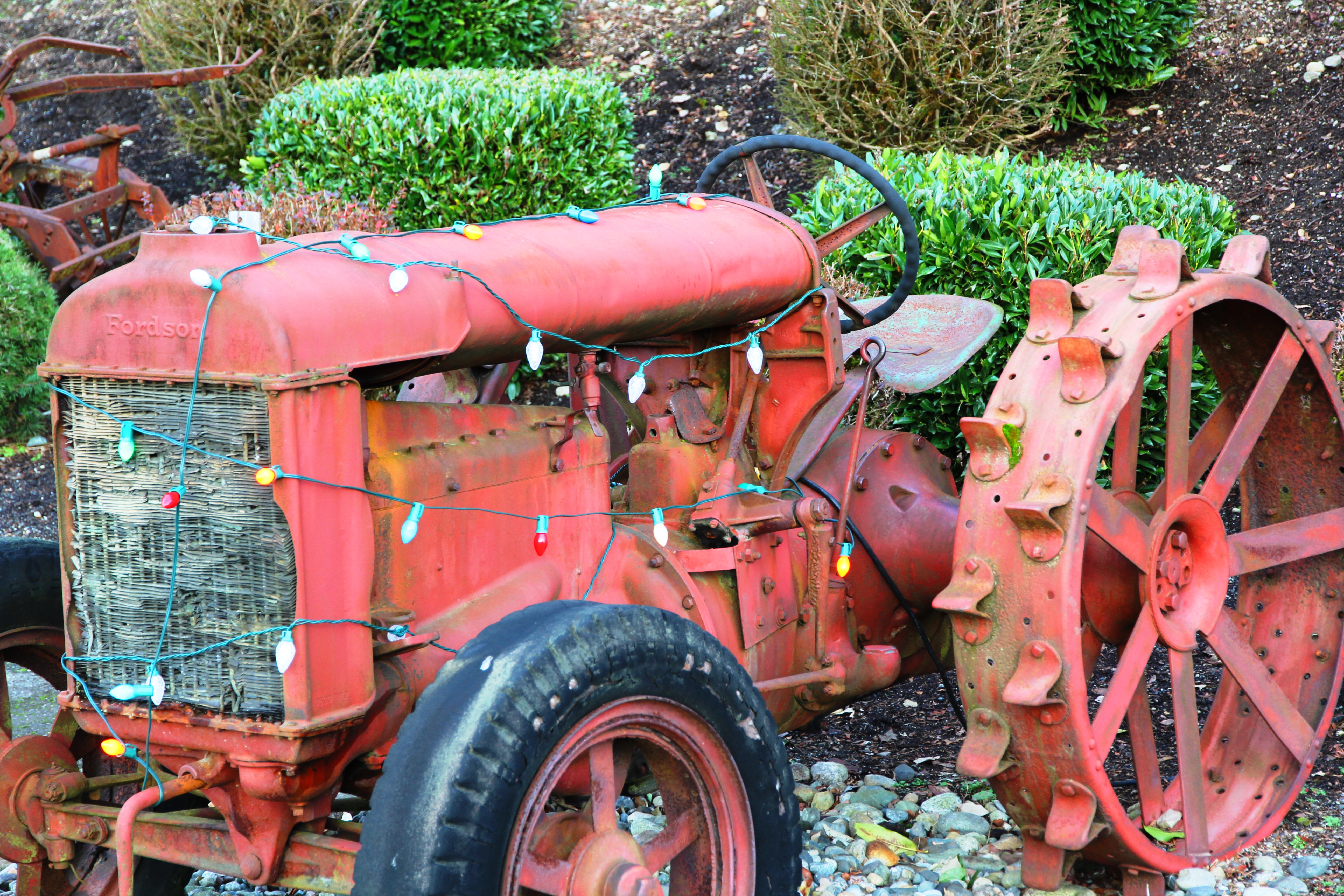 in the spirit of the season