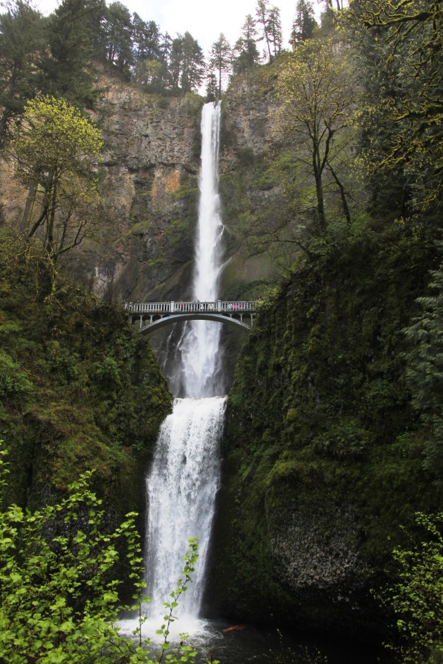 Multnomah Falls